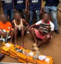 Côte d’Ivoire : trois interpellations et d’importantes saisies de drogues à Toupah et Jacqueville